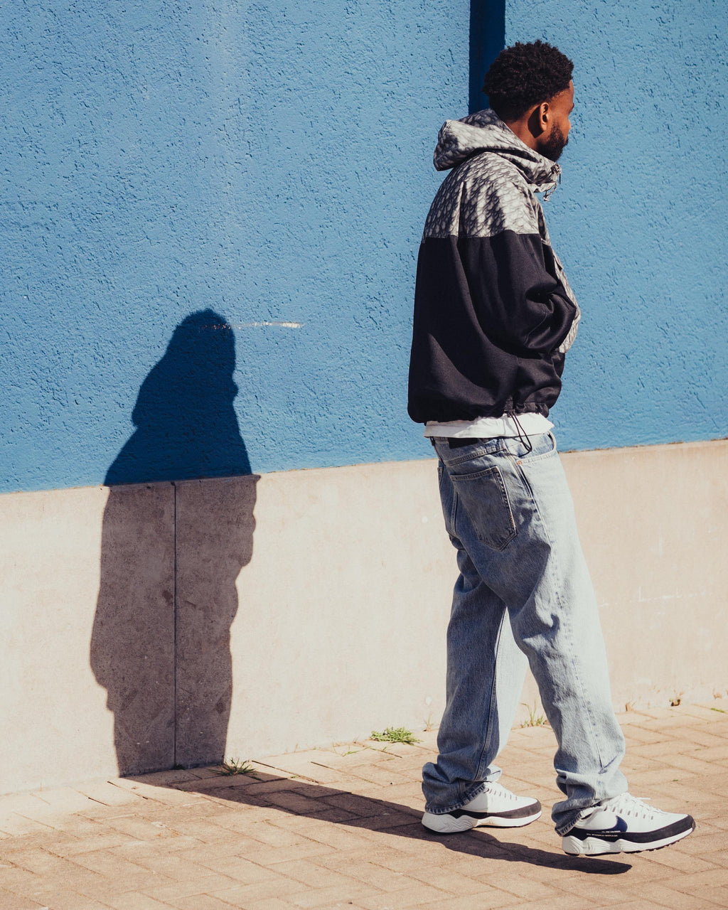 Christian Dior x Shawn Stussy Oblique Anorak Jacket