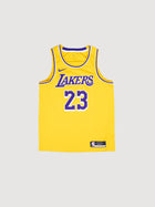 LeBron James Los Angeles Lakers Icon Edition Jersey