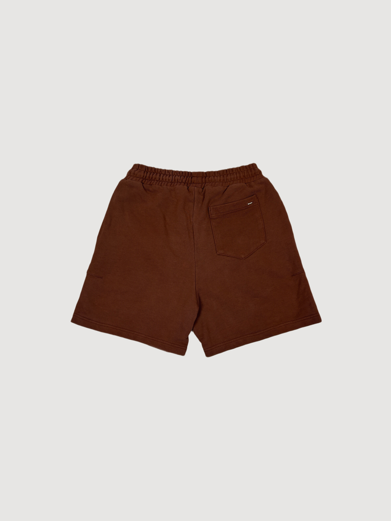 Flaneur Homme Brown Shorts