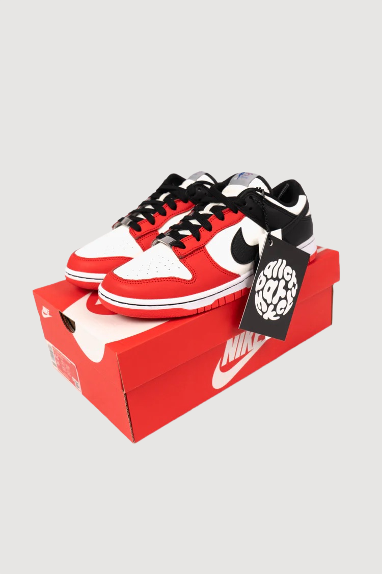 Nike Dunk Low Retro EMB