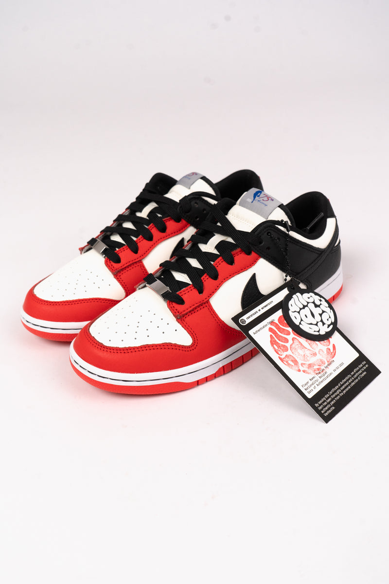 Nike Dunk Low Retro EMB