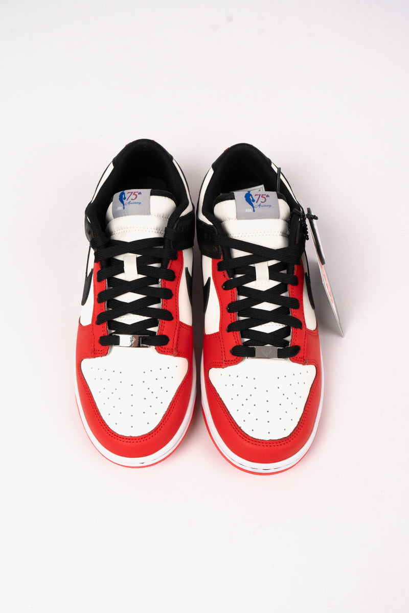 Nike Dunk Low Retro EMB