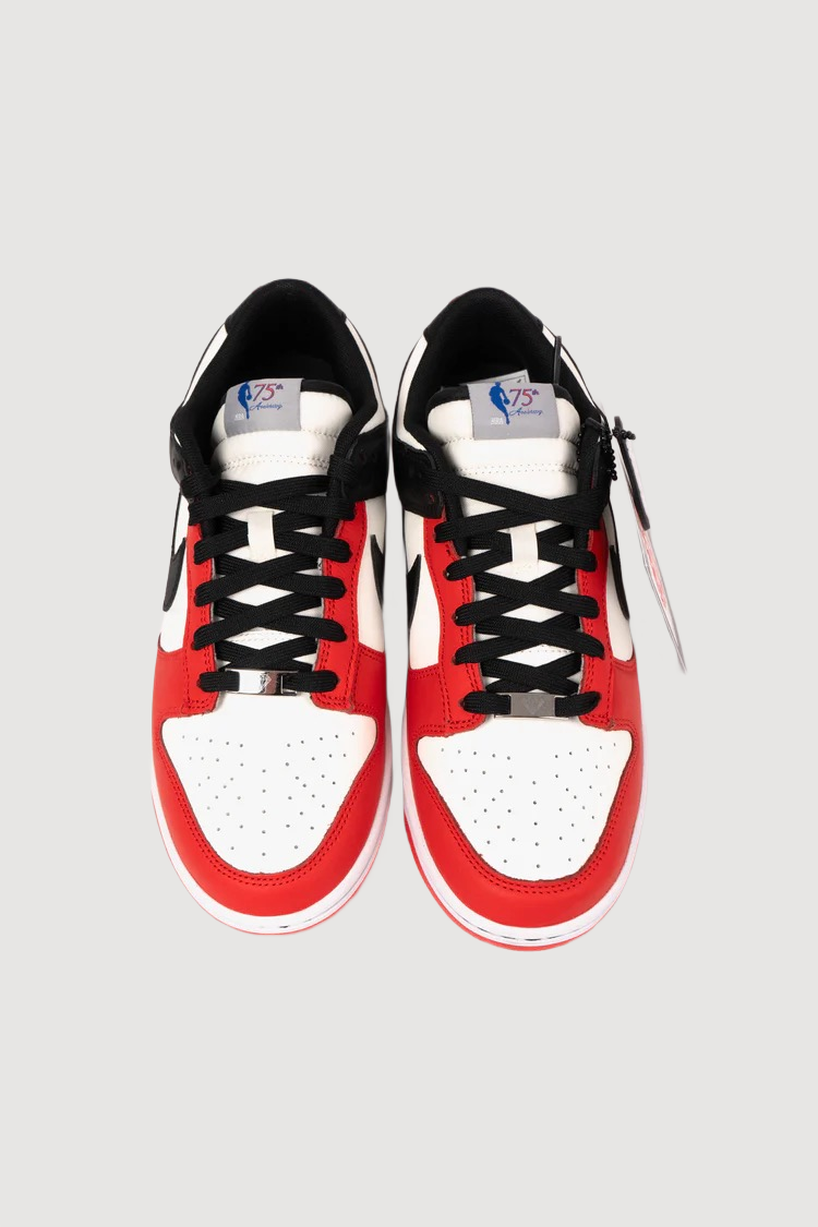 Nike Dunk Low Retro EMB