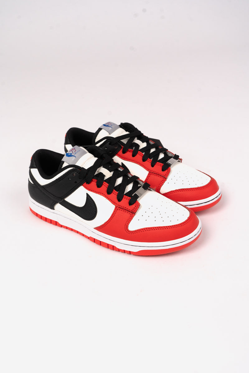 Nike Dunk Low Retro EMB