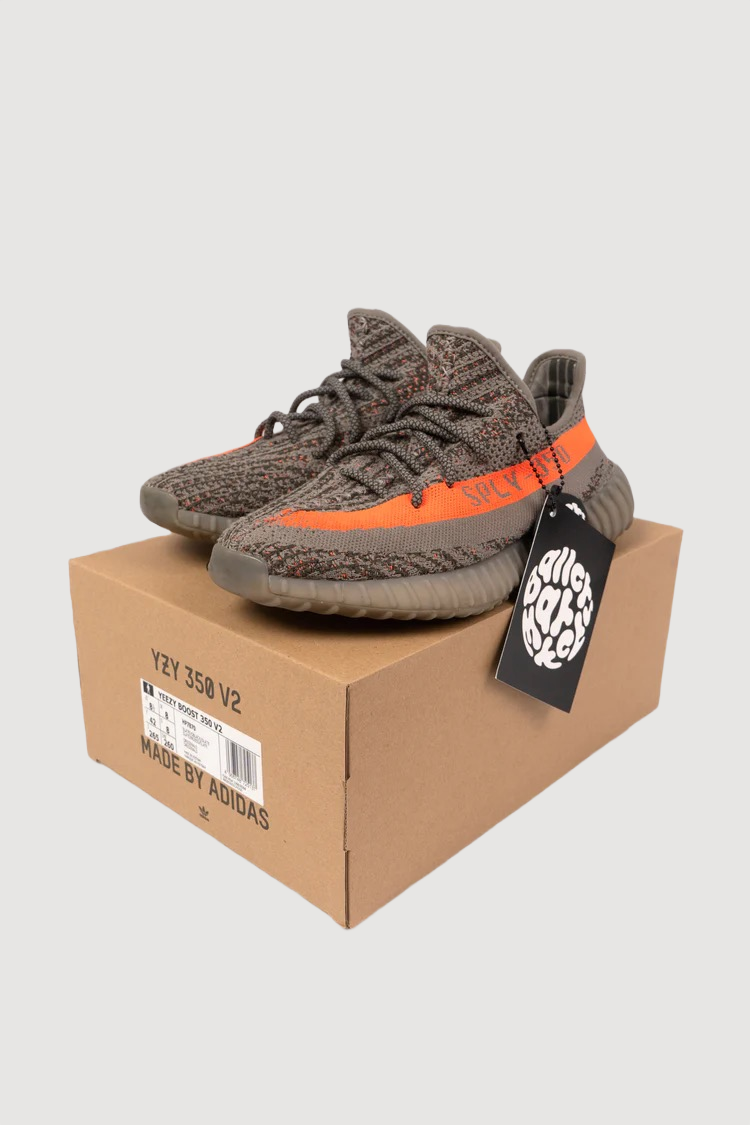 Yeezy Boost 350 V2