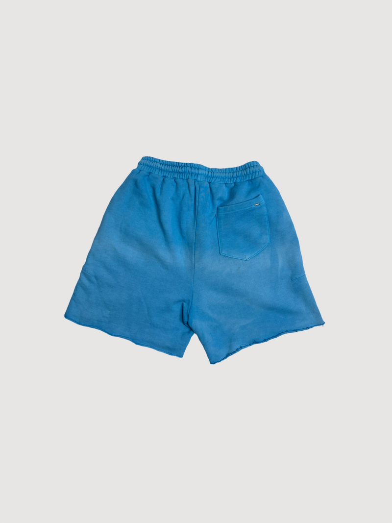 Flaneur Homme Blue Shorts