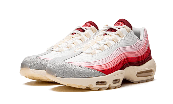 Nike Air Max 95 Anatomy of Air