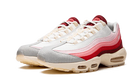 Nike Air Max 95 Anatomy of Air